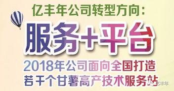 2019全國征集甘薯一站式技術服務站 助推甘薯產業(yè)高質量發(fā)展
