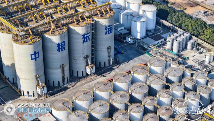 中糧東海糧油15萬噸筒倉項目竣工投用，開啟糧油倉儲新篇章